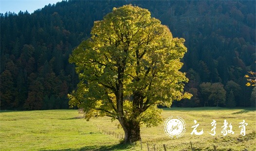 2022年四川自考本科报名条件