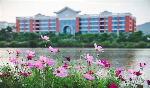 简阳市开放大学报名条件是什么