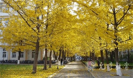 西南财经大学天府学院报考流程|四川成人高考