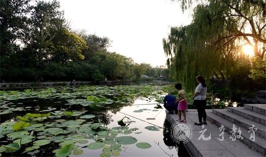 自学考试|西华师范大学小自考本科秋季报考流程