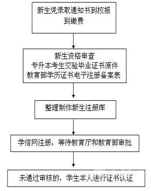 新生学籍注册流程图